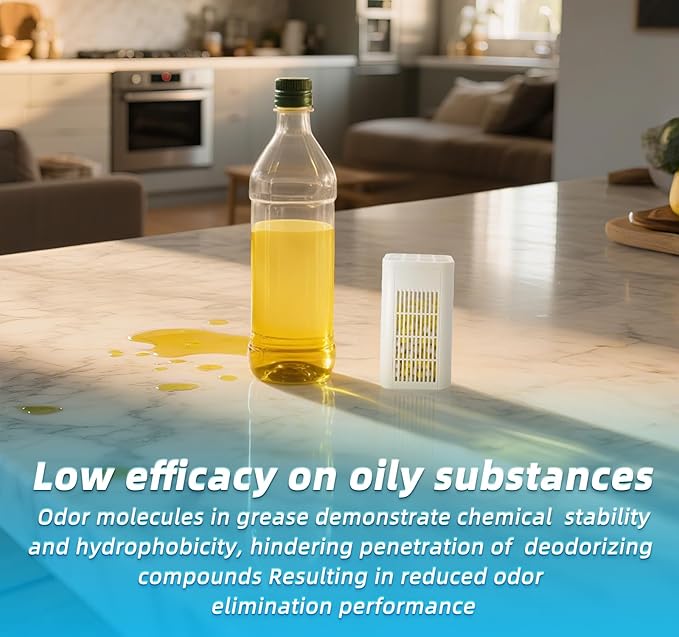 Unscented Household Odor Eliminator, Effective in 24 Hours & Lasts 12 Months Without Replacement, Long-Lasting Deodorizer for Fridge, Closets, Shoes, Cars & Small Spaces, 1 Pack