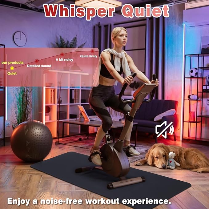 Treadmill Mat for Home Gym - High Density Treadmill Walking Pad Exercise Bike Equipment Mat, Suitable for Floor Carpet, 51.4" x 24", 4 mm Thick, Black