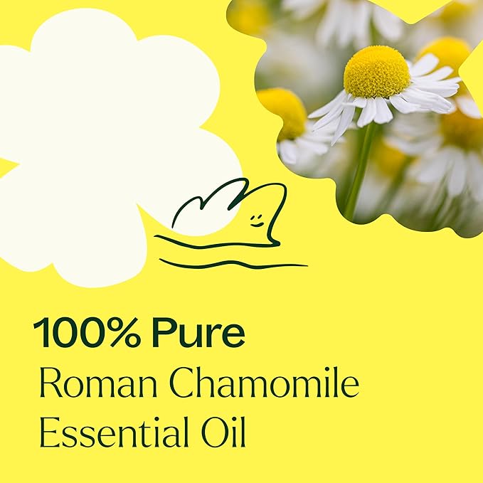 Plant Therapy Roman Chamomile Essential Oil 100% Pure, Undiluted, Natural Aromatherapy, Therapeutic Grade 10 mL (1/3 oz)