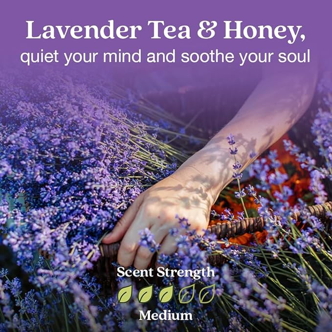 Enviroscent Non-Toxic Air Freshener for Home | Liquid Free Diffuser | Home Fragrance Lasts Over 30 Days | Kit includes 1 Mango Wood Stand & 1 Scent Stix Refill (Lavender Tea & Honey)