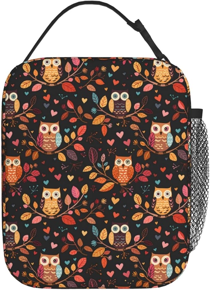 Cute Owl Lunch Box for Women Adults Kids, Insulated Cooler Lunch Bag for Picnic, School, Office, Travel, Work, Portable Reusable Polyester Tote Thermal Lunch Bags (Colorful Owl)