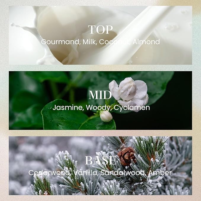 M&SENSE 10.14 oz Large Reed Diffuser Set | Cashmere Cloud Scent Oil Diffuser with Sticks | Hotel Collection Non-Toxic Essential Oil |for Bedroom Bathroom Living Room