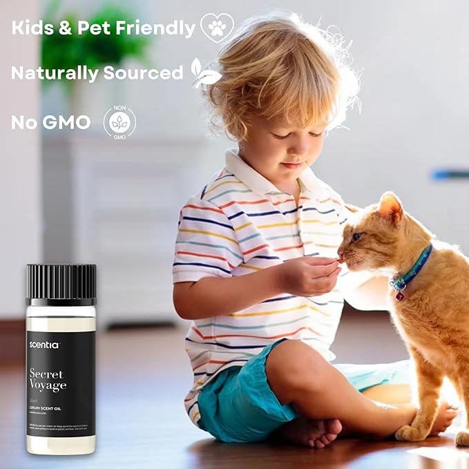 Hotel Diffuser Oil Inspired by The Baccarat Hotel Scent - 50 mL 1.69 fl oz - Essential Oil Blend of Cedar & Jasmine for Aromatherapy & Humidifiers - Secret Voyage, Mothers Day Gift