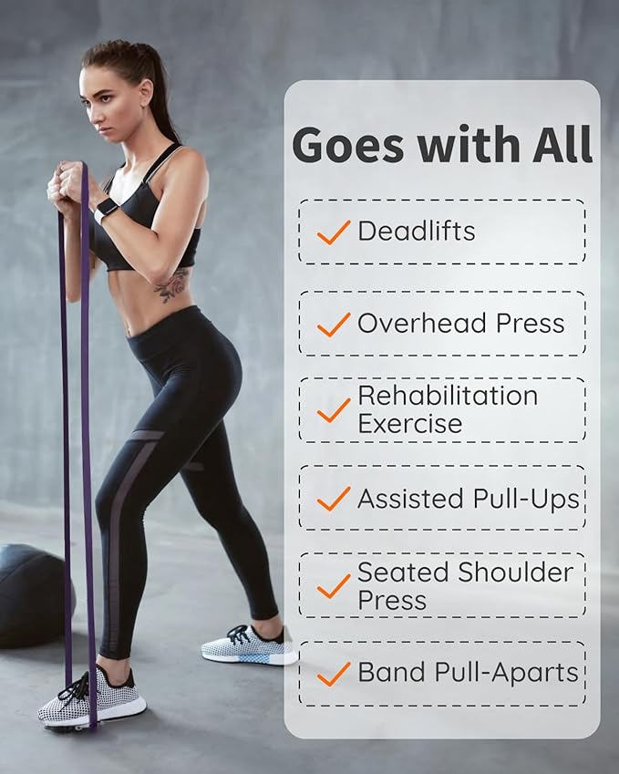 Resistance Bands Set - Pull Up Bands for Men Women, Exercise Bands Resistance with Door Anchor, Training Poster & Pouch for Body Stretching, Pull Up Assist