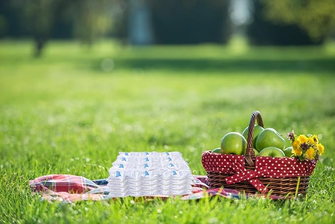 Dry Ice Packs for Shipping Frozen Food & Perishables - 10 Sheets (24 Small Ice Packs Per Sheet) | Long Lasting Cold Ice Pack for Coolers, Lunch Boxes & Insulated Bags | More Than 24 Hours