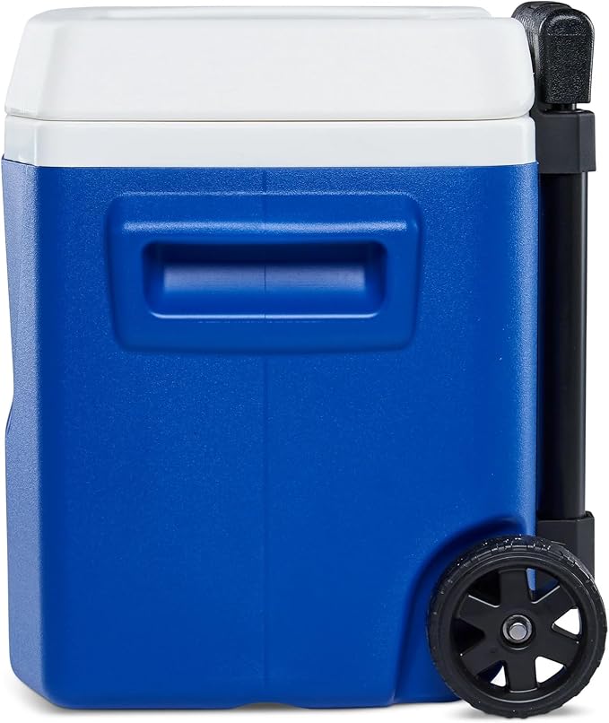 Igloos Cooler Hard-Sided Ice Chest, Insulated Portable Cooler, Heavy-Duty, Leak-Resistant Lid, Lightweight Ergonomic Handle