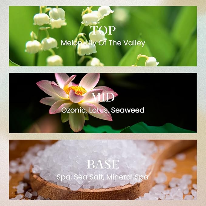 M&SENSE 6.3 oz Large Reed Diffuser Set | Ocean Escape Scent Oil Diffuser with Sticks | Hotel Collection Non-Toxic Essential Oil |for Bedroom Bathroom Living Room