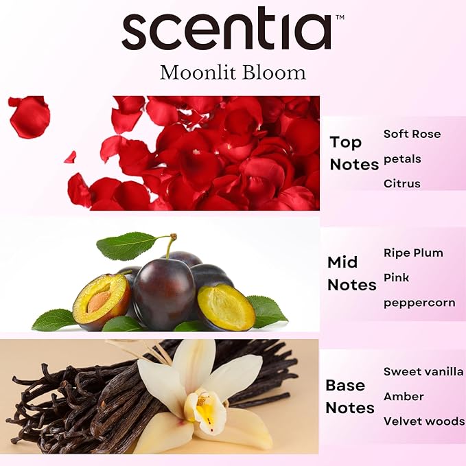 Love Collection Fragrance Oil Set – Essential Oil Blends for Diffusers, Candles & Soaps – Jasmine, Rose, Citrus, Amber & Musk – Made in USA, Phthalate-Free – Holiday Gift Set 3×20ml (2.03 fl oz)