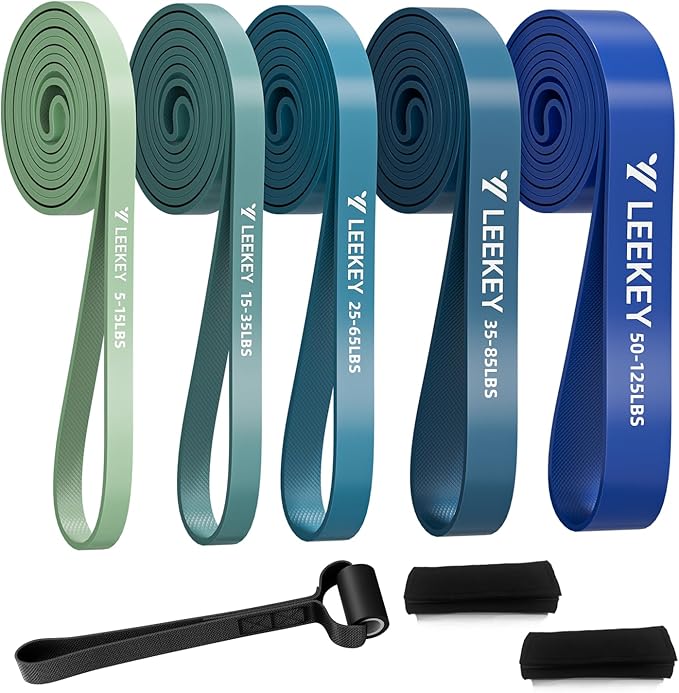 LEEKEY Resistance Bands Set for Pull-Up Assistance & Full-Body Training, Multi-Level Exercise Bands with Bag for Home Workouts, Physical Therapy, Strength Training (Men/Women)