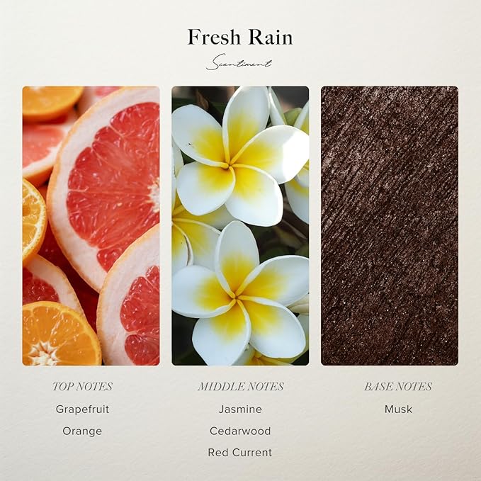 Diffuser Oil - Fresh Rain | Aromatherapy Home Fragrance |Inspired by Marriott® Hotels | Luxurious Scent with Notes of Fresh Grapefruit and Crisp Red Currant (50 mL)