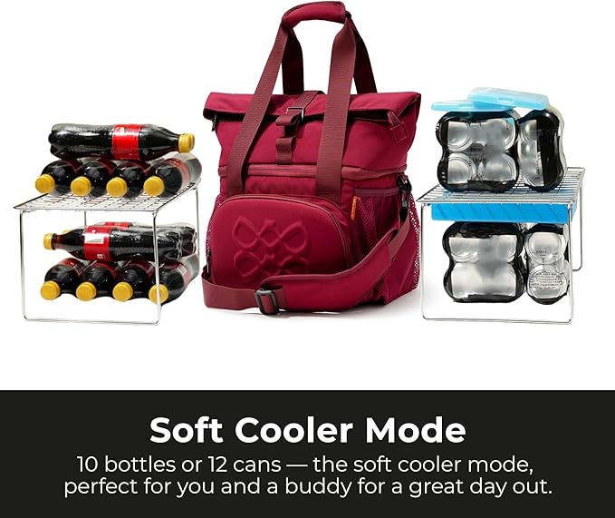 Dual Compartment Insulated Lunch bag, with 2 Leakproof Compartments & Roll-top, 13L lunchbox for work (Burgundy)