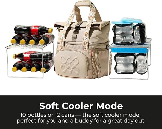 Dual Compartment Insulated Lunch bag, with 2 Leakproof Compartments & Roll-top, 13L lunchbox for work (Oatmeal Beige)