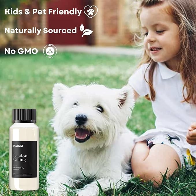 Hotel Diffuser Oil Inspired by Ferrari - 120 ml 4.06 fl oz - Fragrance Oil Blend White Tea, Cedarwood & Soku Lime for Aromatherapy Diffusers and Humidifiers - London Calling, Mothers Day Gift