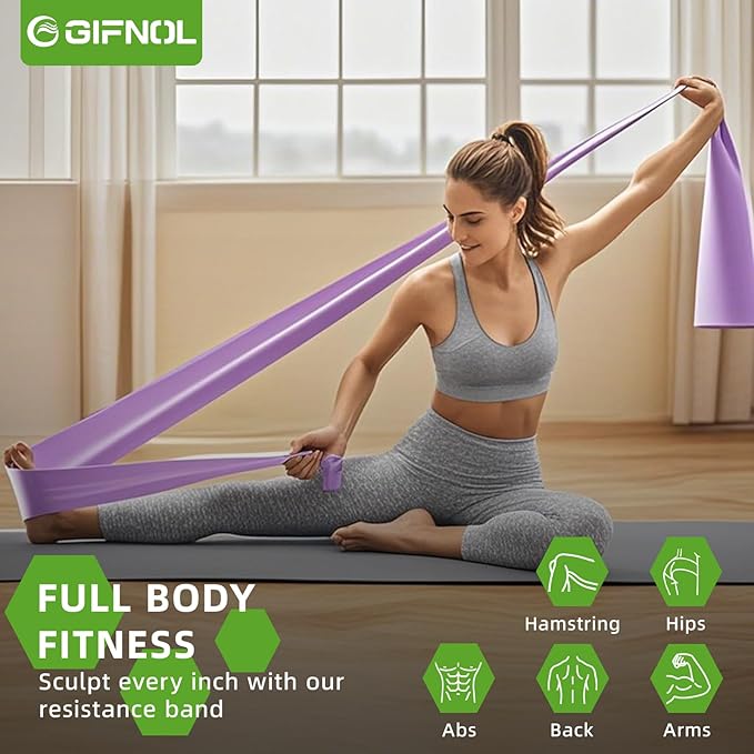 Pilates Ring and Ball Set with Resistance Bands - Pilates Equipment for Home Workout - 14'' & 12'' Pilates Rings, 2 Pilates Balls, 5 Resistance Bands for Toning Arms, Thighs/Legs & Core