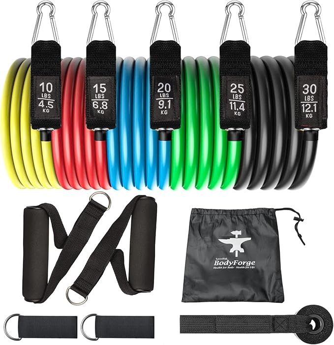 BodyForge Resistance Bands, Exercise Bands, Resistance Bands for Working Out, Work Out Bands with Handles for Men and Women Fitness, Strength Training Home Gym Equipment
