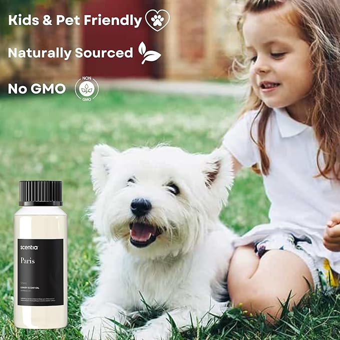 Scentia Hotel Fragrance Oil Inspired by The Hotel Costes - 120 mL 4.06 fl oz - Refill Diffuser Oil Blend Rose, Clove & Sandalwood Notes for Aromatherapy Diffusers - Paris