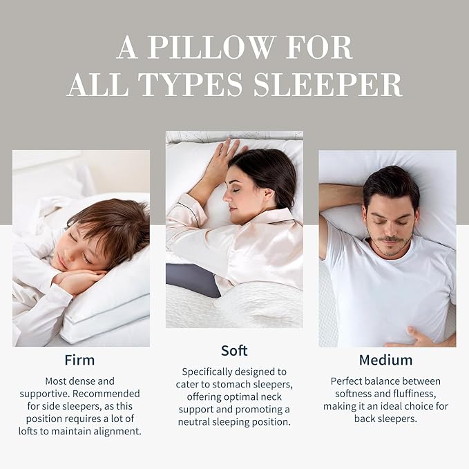 Globon Luxury Feather Down Pillow Standard Queen Size for Sleeping, Hotel Collection Fluffy Pillow, Medium Gusseted Bed Pillows, 18"X26", Pack of 1