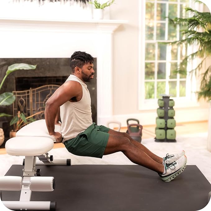 Fitness Bench, Adjustable, Collapsible, Comfortable, and Luxurious Home Gym Bench for Strength Training