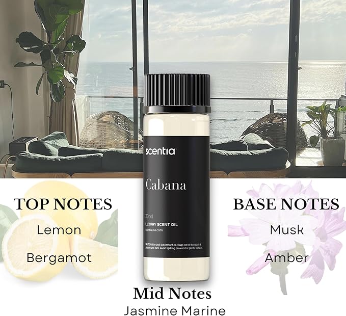 Hotel Diffuser Oil | Aromatherapy Fragrances Inspired by 5-Star Hotels | Luxurious Scents Gift Set - 3 x 20ml Bottles Set - The 1 Hotel Miami, W Hotel & 5- Star Hotels