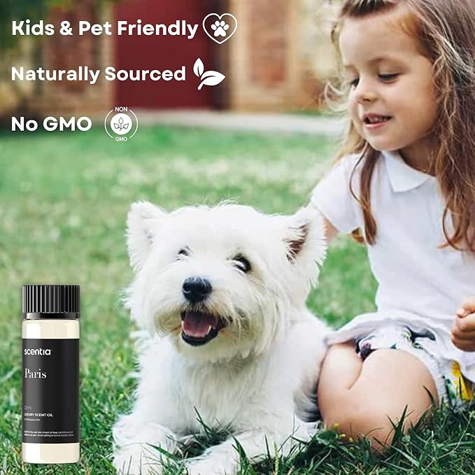 Scentia Hotel Diffuser Oil Inspired by The Hotel Costes Paris - 20 mL 0.67 fl oz - Fragrance Oil Blend Rose,Clove &Sandalwood for Aromatherapy Diffuser & Humidifiers.-Paris