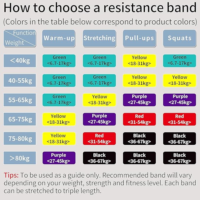 PROIRON Resistance Bands Pull Up Assistance Bands Comfortable Anti-Slip Exercise Bands for Pull up Dip Squat Gym Workout Physical Therapy Stretch Bands for Men & Women - Length 40inch (100cm)