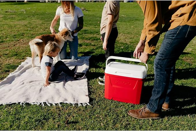 Igloos Cooler Hard-Sided Ice Chest, Insulated Portable Cooler, Heavy-Duty, Leak-Resistant Lid, Lightweight Ergonomic Handle