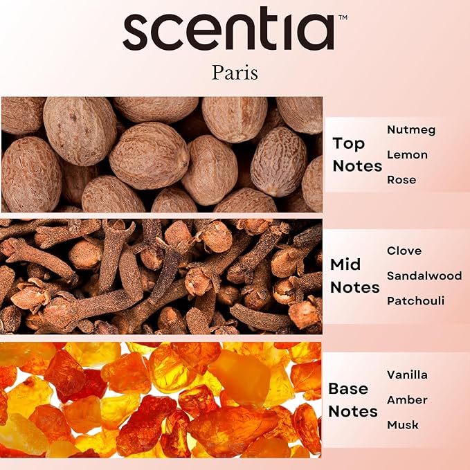 Scentia Hotel Diffuser Oil Inspired by The Hotel Costes Paris - 20 mL 0.67 fl oz - Fragrance Oil Blend Rose,Clove &Sandalwood for Aromatherapy Diffuser & Humidifiers.-Paris