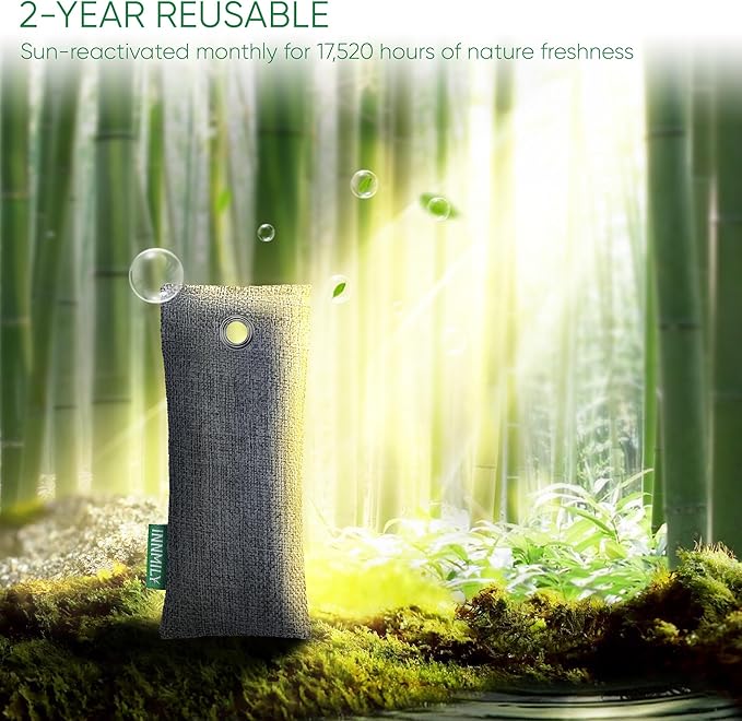 Activated Charcoal Odor Absorber, 6 Pack Natural Shoe Odor Eliminator, Bamboo Charcoal Air Purifying Bags, Sneaker Deodorizer and Moisture Absorbers for Clean Footwear, Shoe Odor Remover