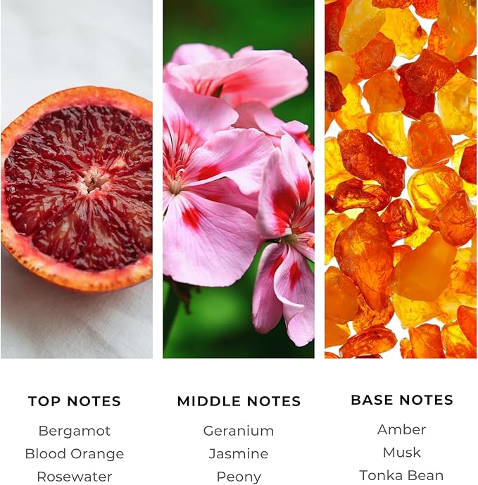 French Riviera Fragrance Oil 500ml - Premium Diffuser Oil for Home, Office, Hotels - Long Lasting, Plant-Based, Meets IFRA Standards, USA-Made - Blood Orange, Jasmine, Tonka Bean