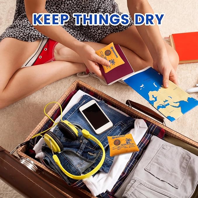 100gx2pcs Rechargeable Desiccant Packs for Storage, Color Indicating Silica Gel Packets Moisture Absorbers with Visible Window, Reusable Dehumidifier Bags for 3D Filaments Electronics Camera