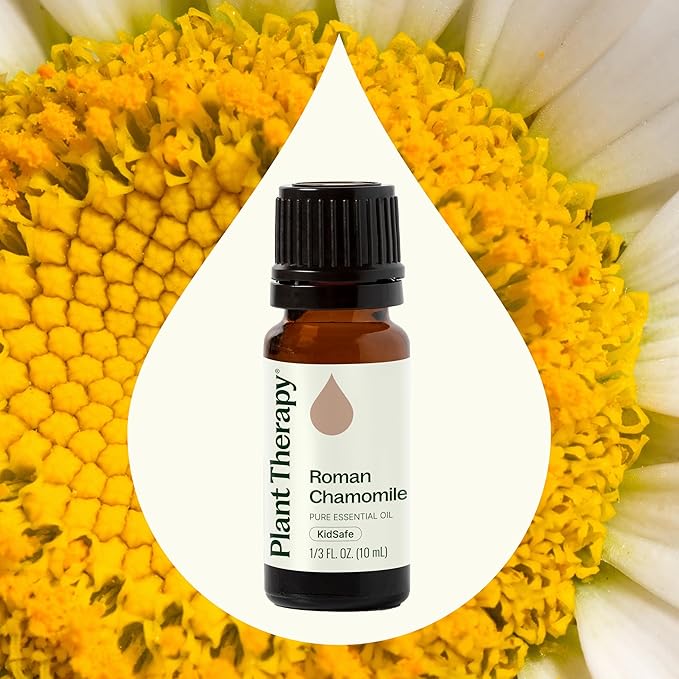 Plant Therapy Roman Chamomile Essential Oil 100% Pure, Undiluted, Natural Aromatherapy, Therapeutic Grade 10 mL (1/3 oz)