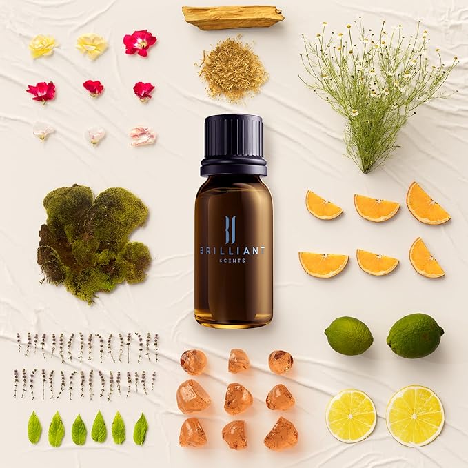 Diffuser Oil Refill, Inspired by Wymara Resort Turks & Caicos, Hotel Series Aroma Scents, Essential Oils Set for Home, Fragrance Oil for Candle Making, Home, 50 ML, Island Oasis