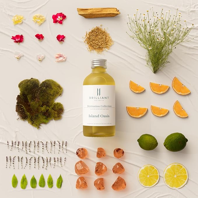 Island Oasis Fragrance Oil 120ml - Premium Diffuser Oil for Home, Office, Hotels - Long Lasting, Plant-Based, Meets IFRA Standards, USA-Made - Citrus, Chamomile, Patchouli