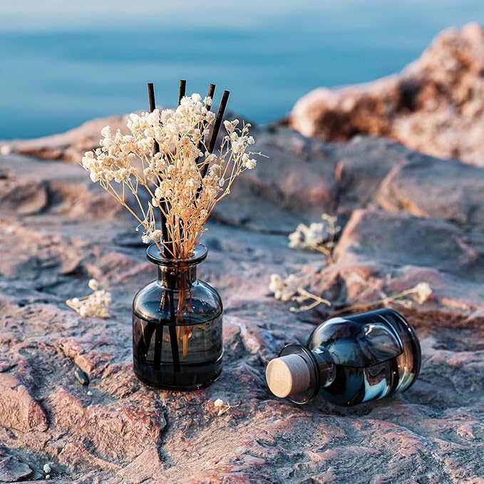 Brakula 2 Pack Reed Diffuser,Fresh Linen + Lavender Vanilla (3.38 fl oz Each Pack), Home Fragrance with 12 Sticks, Shelf Decor, Reed diffusers for Home