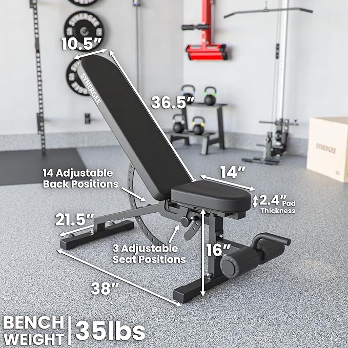 Synergee Adjustable Incline Decline Workout Bench. Weight Bench for Dumbbell & Barbell Press Exercises & Workouts. Great for Commercial, Garage and Home Gym.