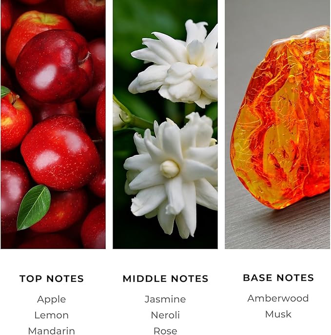 Diffuser Oil Refill, Inspired by Caesars Palace, Hotel Series Aroma Scents, Essential Oils Set for Home, Fragrance Oil for Candle Making, Home, 50 ML, Empire Oasis