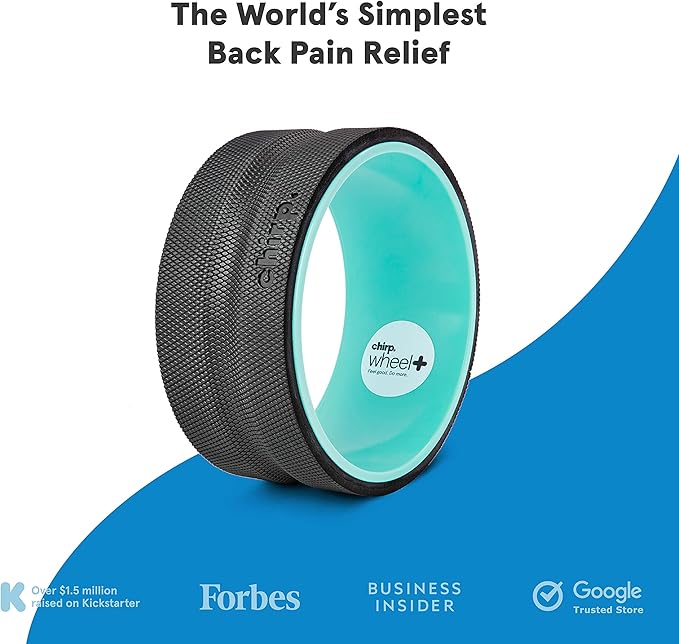 Chirp Wheel Foam Roller – Targeted Back & Neck Relief, Lumbar Spine Stretcher, Spinal Decompression Back Stretcher, Massage Roller with Density Foam for Physical Therapy, Supports 500lbs, 10-Inch Mint