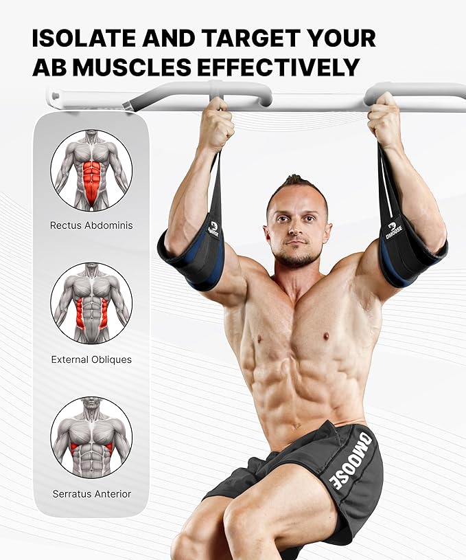 DMoose Fitness Hanging Ab Straps for Pull Up Bar & Core Strength Training - Soft Padded Exercise Straps for Ab Swing & Leg Raises, Hang Bar Strap with 2 Steel Carabiners - Abs Equipment for Home & Gym