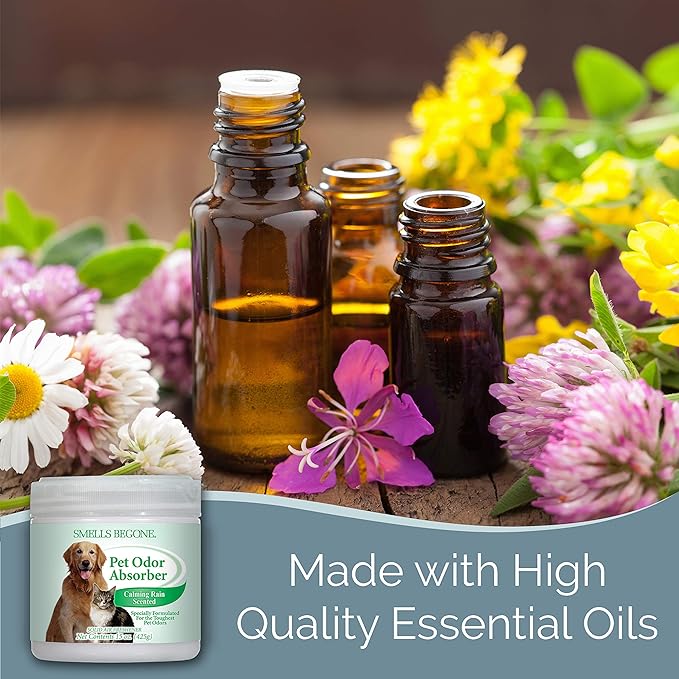 SMELLS BEGONE Air Freshener Odor Absorber Gel - 15 oz, Pack of 2 - Absorbs and Eliminates Odor in Pet Areas, Bathrooms, Cars, & Boats - Made with Essential Oils - Calming Rain Scent