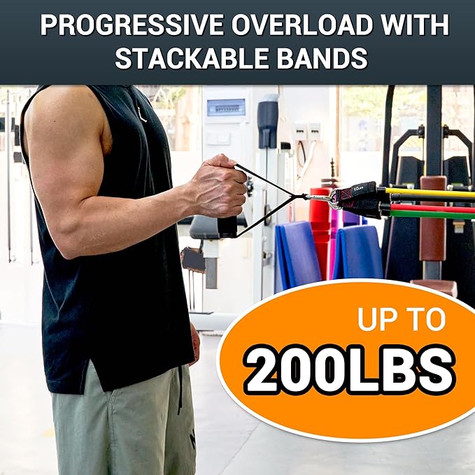 TheFitLife Resistance Bands with Handles - Designed for American Body Types, Exercise Workout Tubes for Men, Women, Includes Large Handles, Ankle Straps, Door Anchor, Fitness Levels