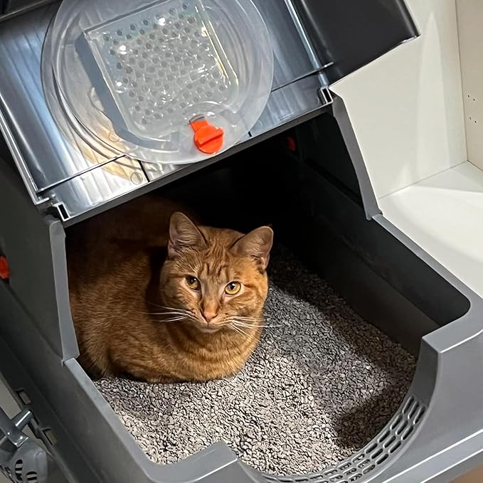 12 * 43g Larger Bag Activated Charcoal Odor Absorber Bags for Stainless Steel Litter Box with Lid, Natural Coconut shell Charcoal Bags, Absorb Odors/Control Damp from Pets/Keep Home Fresh