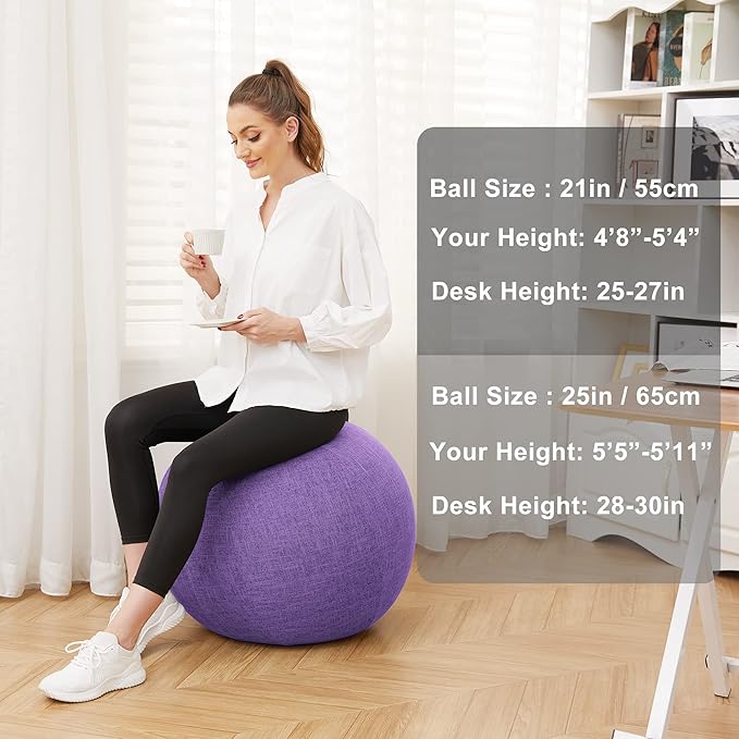 Exercise Ball Chair with Fabric Cover, Standard Size (25inches/65cm), for Home Offices, Balance Training, Yoga Ball