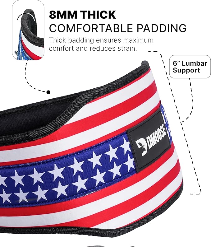 DMoose Fitness Dip Belt for Weight Lifting, Pullup, Squats & Dips - 36" Robust Steel Chain, Comfortable Neoprene Padding Supports 350lbs - Gym Weight Belt for Strength Training Workout & Weightlifting