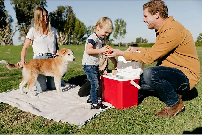 Igloos Cooler Hard-Sided Ice Chest, Insulated Portable Cooler, Heavy-Duty, Leak-Resistant Lid, Lightweight Ergonomic Handle