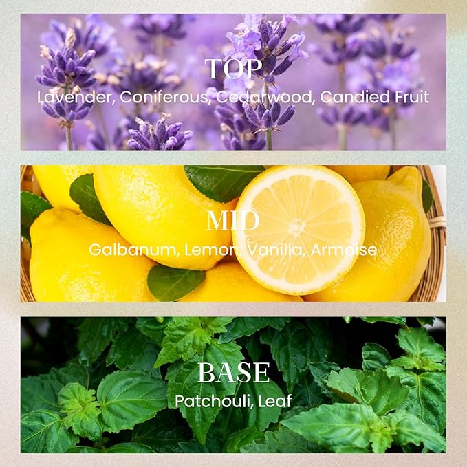 M&SENSE 6.3 oz Large Reed Diffuser Set | Magical Oriental Scent Oil Diffuser with Sticks | Hotel Collection Non-Toxic Essential Oil |for Bedroom Bathroom Living Room