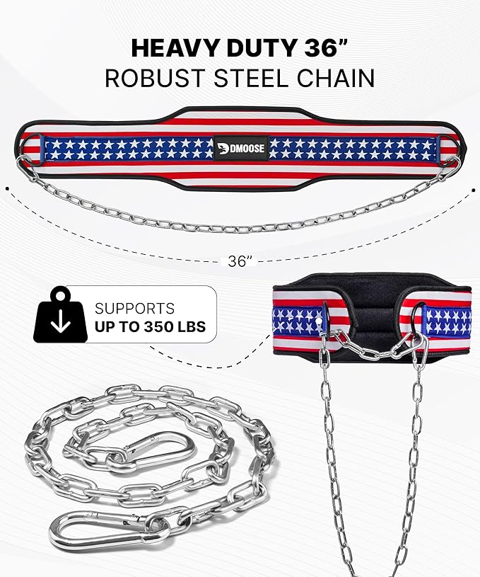 DMoose Fitness Dip Belt for Weight Lifting, Pullup, Squats & Dips - 36" Robust Steel Chain, Comfortable Neoprene Padding Supports 350lbs - Gym Weight Belt for Strength Training Workout & Weightlifting