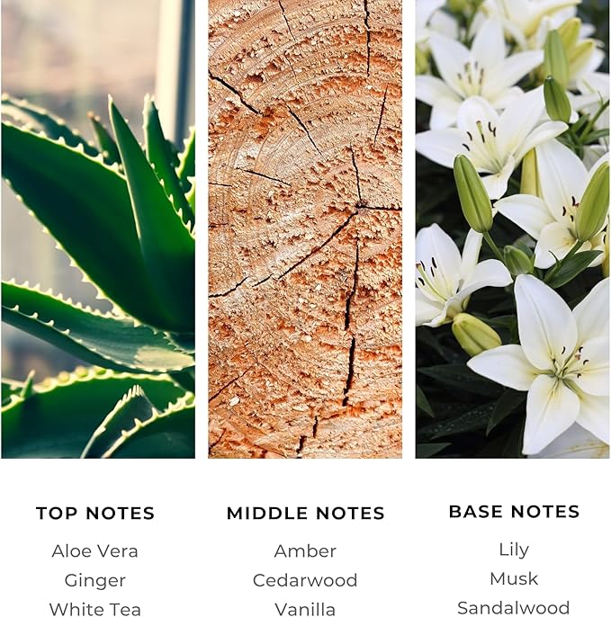 Diffuser Oil Refill, Inspired by The Westin Hote, Hotel Series Aroma Scents, Essential Oils Set for Home, Fragrance Oil for Candle Making, Home, 50 ML, La Mar