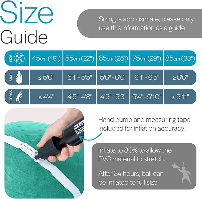 Exercise Ball for Workouts, Anti-Burst and Slip Resistant, Swiss Yoga Ball for Pregnancy, Stability, Fitness and Physical Therapy, 4 Sizes, with Pump