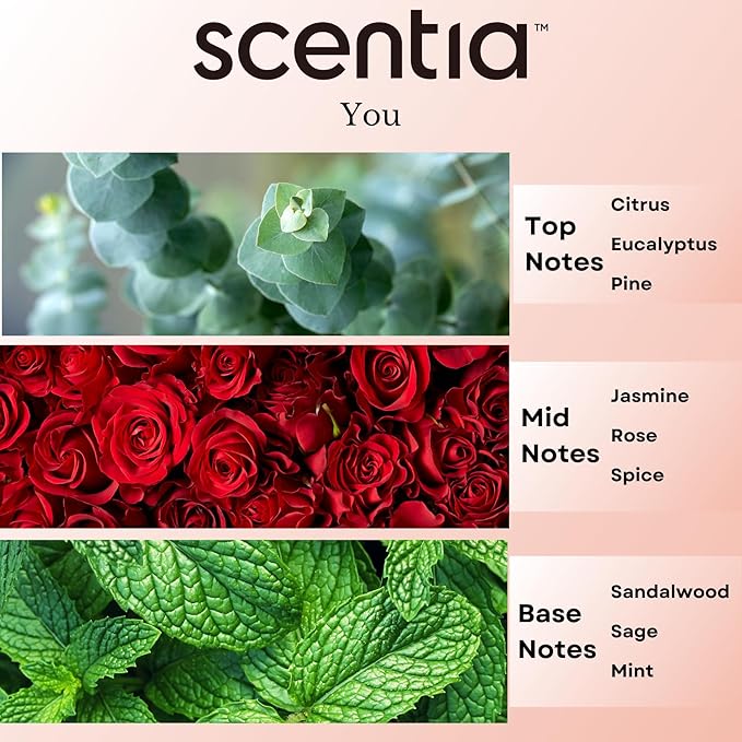 Fierce-Inspired Diffuser Oil - Scentia You Fragrance Oil Perfume Dupe - 20mL, 0.67 Fl oz Diﬀusers and Humidifiers - A and F Inspired Essential Scented Oil - Best for Aromatherapy, Mothers Day Gift