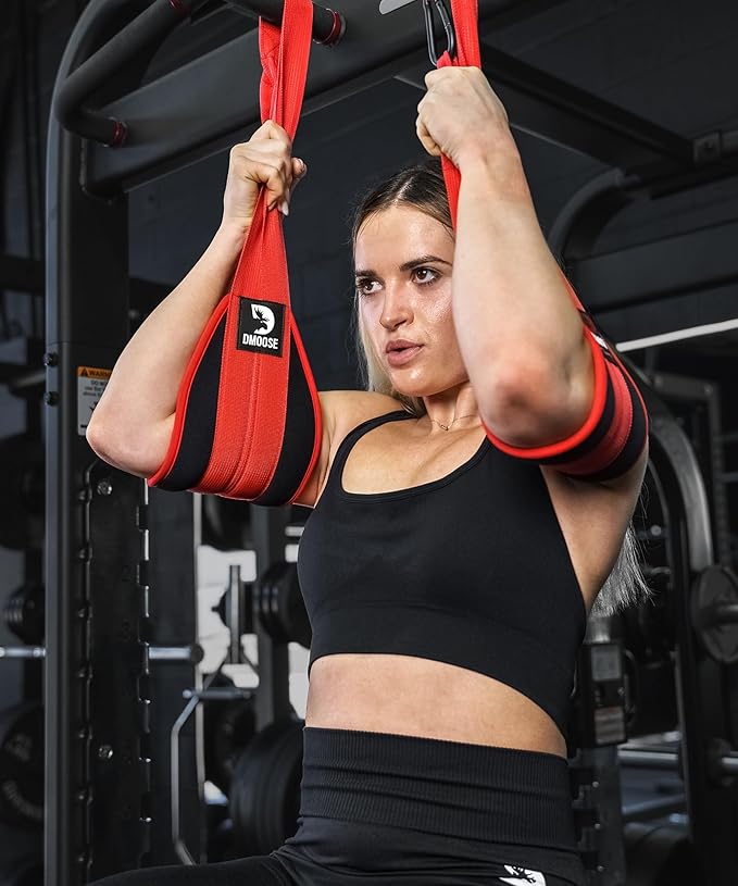 DMoose Fitness Hanging Ab Straps for Pull Up Bar & Core Strength Training - Soft Padded Exercise Straps for Ab Swing & Leg Raises, Hang Bar Strap with 2 Steel Carabiners - Abs Equipment for Home & Gym